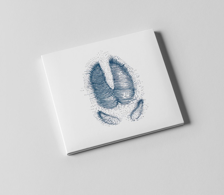 Šetači album cover